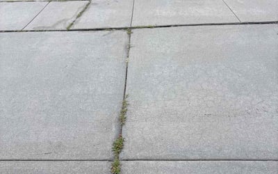 Photo of Jonathan S.'s yard after getting landscaping in Wichita, KS