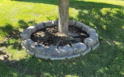Photo of Brenda F.'s yard after getting landscaping in Taneytown, MD