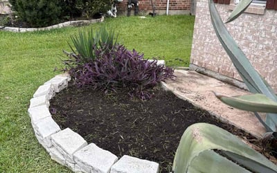 Photo of Jamie S.'s yard after getting landscaping in Danbury, TX