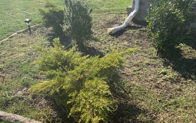 Photo of Kim S.'s yard after getting landscaping in Ark, VA