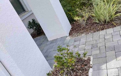 Photo of Emilia V.'s yard after getting tree care in Intercession City, FL