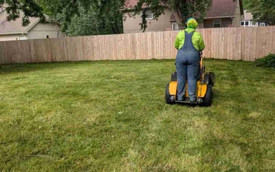 Photo of Scott J.'s yard after getting landscaping in Kansas City, MO