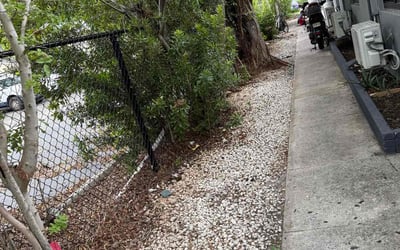 Photo of Alexander P.'s yard after getting landscaping in North Miami Beach, FL