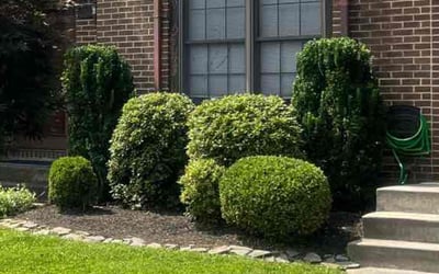 Photo of Andrew A.'s yard after getting landscaping in Sparrows Point, MD