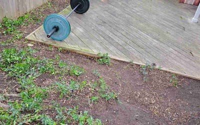 Photo of Karen S.'s yard after getting landscaping in Monrovia, MD