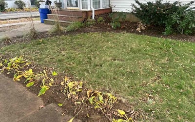 Photo of Helen W.'s yard after getting landscaping in Brookfield, CT
