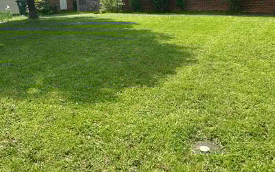 Photo of Charles S.'s yard after getting landscaping in Chattanooga, TN