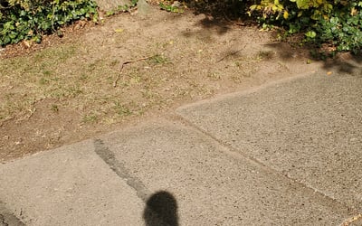 Photo of Rosalind J.'s yard after getting landscaping in Mc Kees Rocks, PA