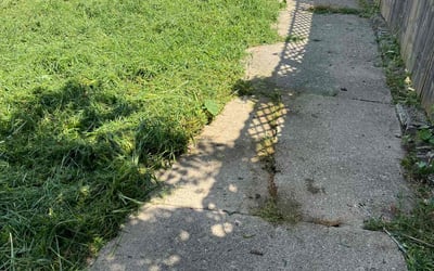 Photo of Deborah F.'s yard after getting tree care in Galloway, OH