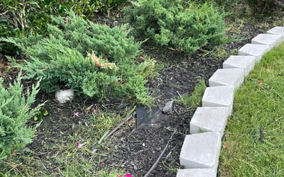 Photo of Andrew M.'s yard after getting landscaping in Bridgeport, TX