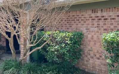 Photo of Kyle H.'s yard after getting landscaping in Nemo, TX