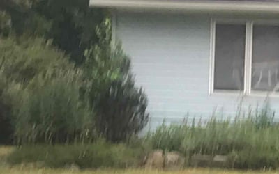 Photo of Shanora H.'s yard after getting lawn care in North Ridgeville, OH