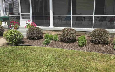 Photo of Linda M.'s yard after getting landscaping in Grand Rapids, MI
