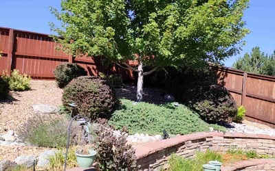 Photo of Lisa K.'s yard after getting landscaping in Evergreen, CO