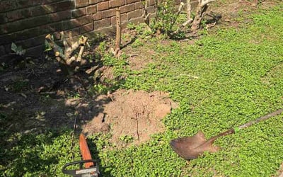 Photo of Christy B.'s yard after getting landscaping in Galena Park, TX