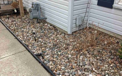 Photo of Elaine M.'s yard after getting landscaping in Lexington, MO