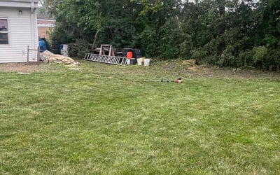 Photo of Angela P.'s yard after getting landscaping in Des Plaines, IL