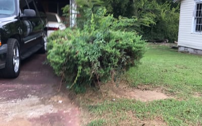 Photo of Alexis T.'s yard after getting tree care in Huntsville, AL