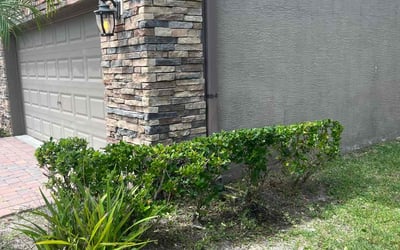Photo of Tina A.'s yard after getting landscaping in Palm Bay, FL