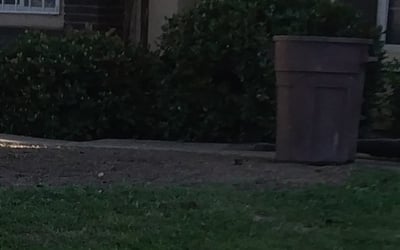Photo of Anthony M.'s yard after getting landscaping in Sanger, CA