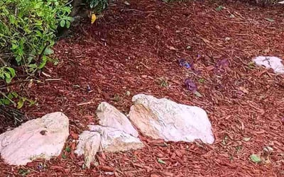 Photo of James C.'s yard after getting landscaping in Patrick Afb, FL