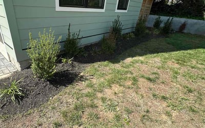 Photo of Dana S.'s yard after getting tree care in Greenbelt, MD