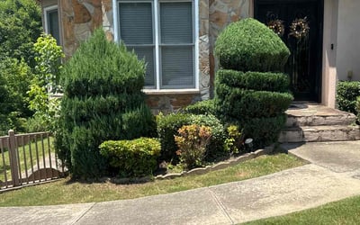 Photo of Demetris B.'s yard after getting tree care in Austell, GA