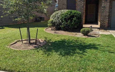Photo of Kathy C.'s yard after getting tree care in Katy, TX