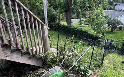 Photo of David B.'s yard after getting landscaping in Maryland Heights, MO