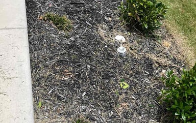 Photo of Cynthia A.'s yard after getting landscaping in Marion, TX