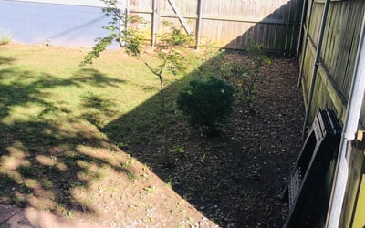 Photo of Brian B.'s yard after getting landscaping in Laurens, SC