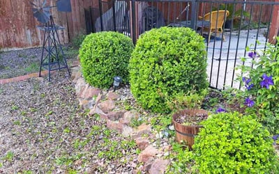 Photo of George W.'s yard after getting landscaping in Boyd, TX