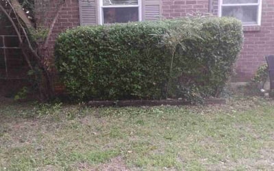 Photo of Jack H.'s yard after getting landscaping in Bedford, TX