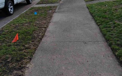 Photo of James K.'s yard after getting landscaping in Waverly, MN