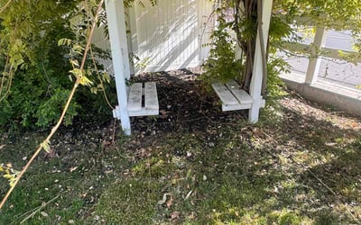 Photo of Misty B.'s yard after getting landscaping in Layton, UT