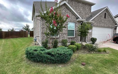 Photo of Mark T.'s yard after getting landscaping in Princeton, TX