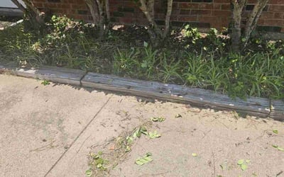 Photo of Sandy W.'s yard after getting landscaping in Bedford, TX