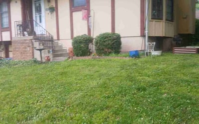 Photo of Karen D.'s yard after getting landscaping in Blue Springs, MO