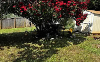 Photo of Richard B.'s yard after getting landscaping in Inman, SC