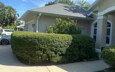 Photo of Kris G.'s yard after getting landscaping in Edgewater, FL