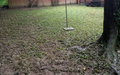 Photo of Debra A.'s yard after getting landscaping in Sunny Side, GA