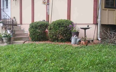 Photo of Karen D.'s yard after getting landscaping in Blue Springs, MO