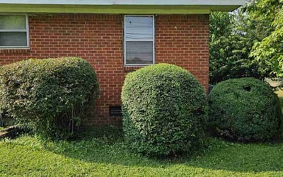 Photo of Lessie C.'s yard after getting landscaping in Huntsville, AL
