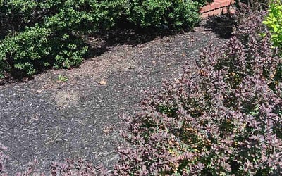 Photo of Jason J.'s yard after getting landscaping in Marshall, VA