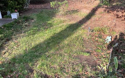 Photo of Kathy W.'s yard after getting landscaping in Dinwiddie, VA