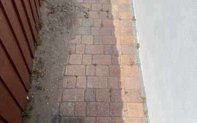 Photo of Jonathan S.'s yard after getting landscaping in Hallandale, FL