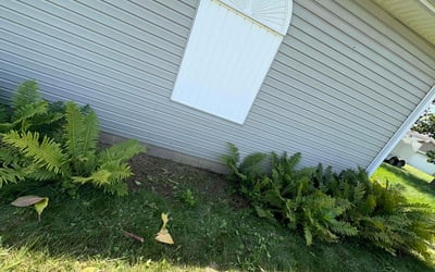 Photo of Leopoldo A.'s yard after getting tree care in Dayton, OH