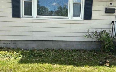 Photo of Peter H.'s yard after getting landscaping in Albany, NY