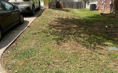 Photo of Donald F.'s yard after getting tree care in Magnolia, TX
