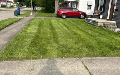 Photo of norvell C.'s yard after getting tree care in Pinckney, MI